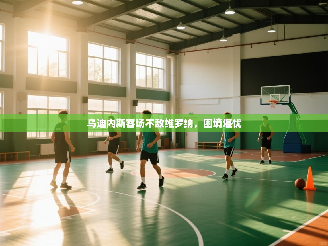 乌迪内斯客场不敌维罗纳，困境堪忧  第1张