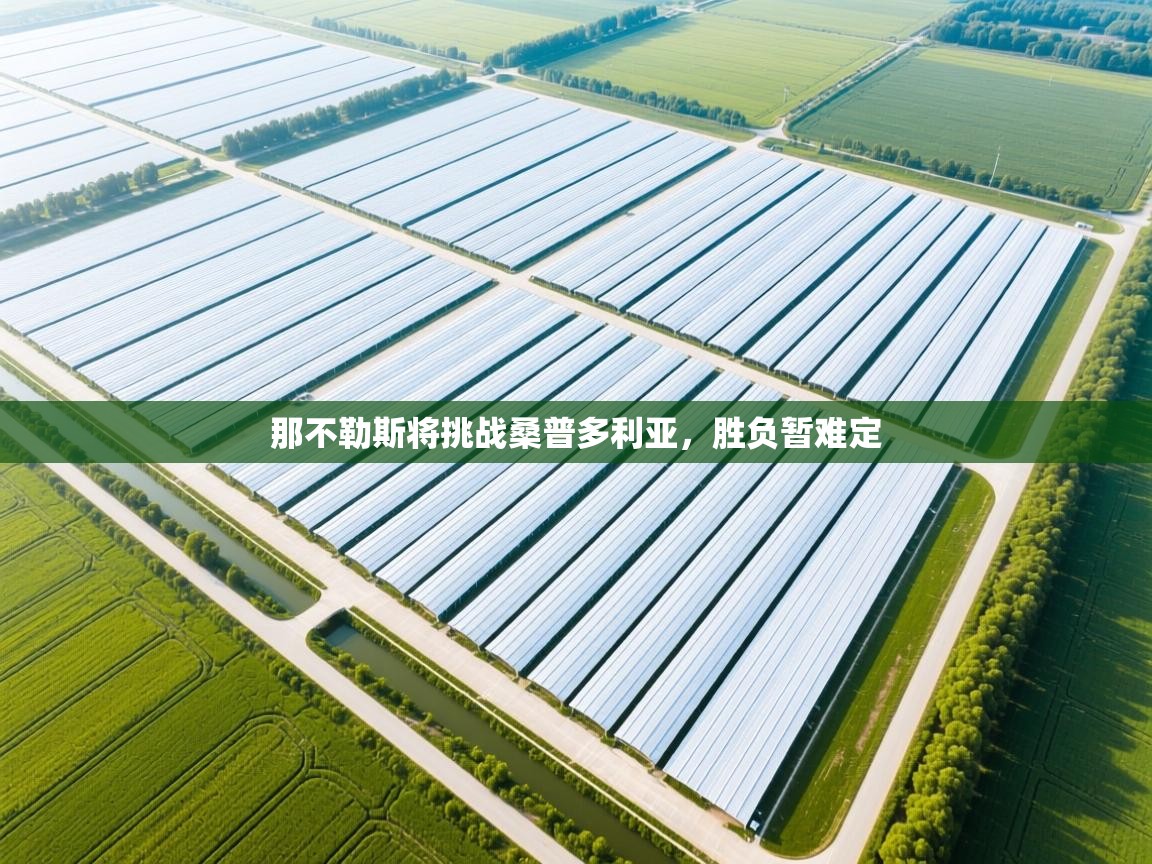 那不勒斯将挑战桑普多利亚，胜负暂难定  第1张