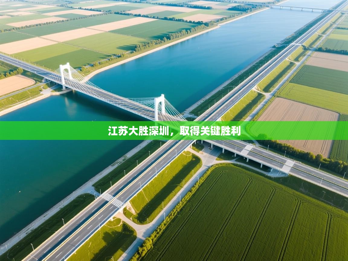 江苏大胜深圳，取得关键胜利  第1张