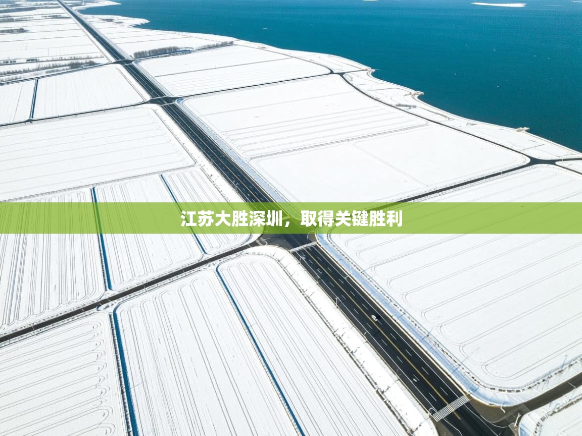 江苏大胜深圳，取得关键胜利  第2张