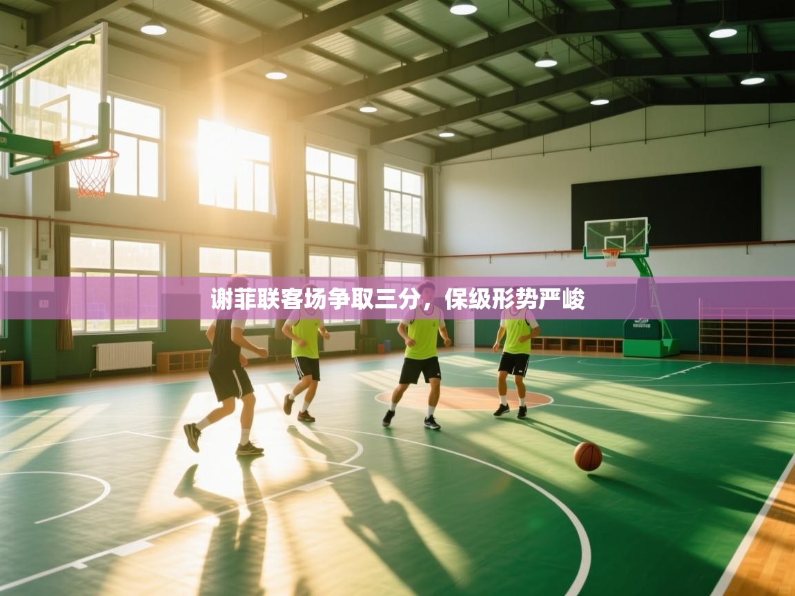 谢菲联客场争取三分,保级形势严峻 第1张